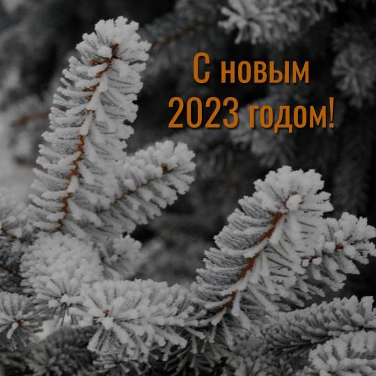 Прогноз на январь 2023